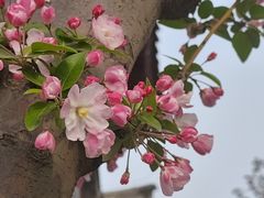 -北京鲁迅博物馆(北京新文化运动纪念馆鲁博馆区)