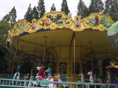 -东平国家森林公园