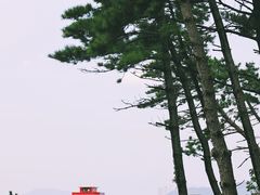-广安大桥