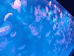 -多彩贵州城极地海洋世界