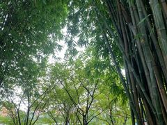 -望江楼公园