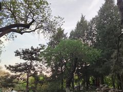 -宣武艺园