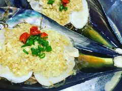 蒜泥粉丝蒸带子-必点海鲜·鲅鱼水饺(鞍山西道店)