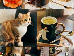 -咖法森林·咖啡  酒吧(天河店)