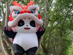 -西安电影制片厂