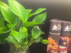 -梵猫·新养生(加州广场店)