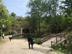 -白水寺森林公园