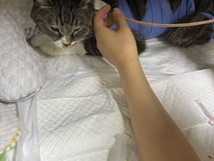 -美联众合动物医院·24h转诊中心