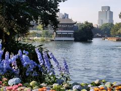 -荔湾湖公园