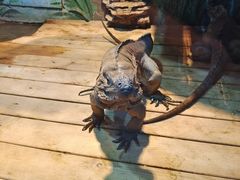 -石家庄市动物园