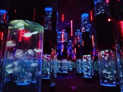 -成都浩海立方海洋公园