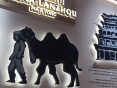 -马记永·兰州牛肉面(3019君尚店)