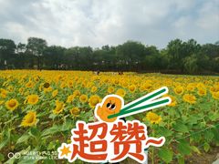 -北陵公园