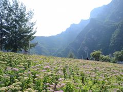 -百里山水画廊乌龙峡谷