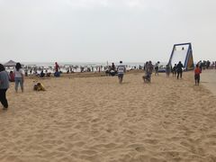 -日照海滨国家森林公园