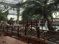iphone_upload_pic-龙达温泉生态城