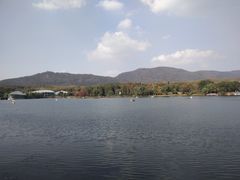 -羊山湖公园