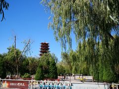 -张掖市博物馆