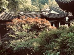 -杭州黄龙洞