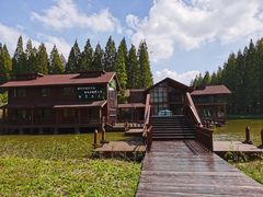 -黄海国家森林公园