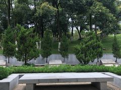 -菊花台公园