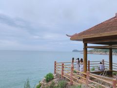 -广东惠东海龟国家级自然保护区