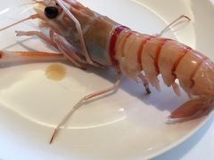 -海鲨湾海鲜会馆(百家湖1912店)