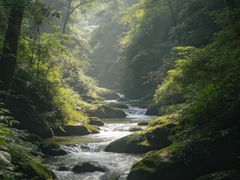 -青城山