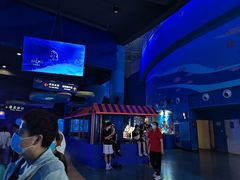 -烟台海昌鲸鲨海洋公园