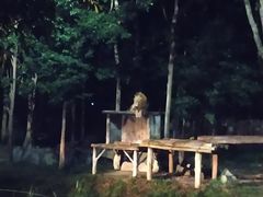 -清迈夜间动物园