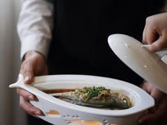 台州雪菜蒸大黄鱼-樱苑(四川北路店)