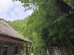 -上海方塔园