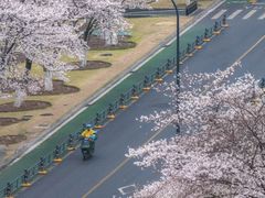 -西北湖绿化广场