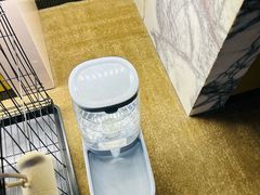 -天津东凯悦酒店