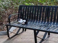 -富力威斯汀酒店·知味自助餐厅