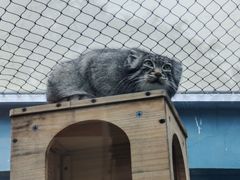 -青藏高原野生动物园