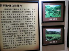 -仙霞关景区