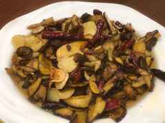 炒见手青-双喜农庄·菌香园(安居家园店)