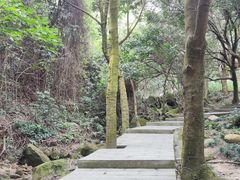 -火炉山森林公园