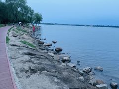 -丁香湖公园