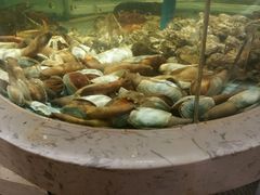 -徐记海鲜·宴会(大唐西市|丰庆店)