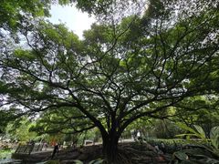 -晓港公园