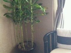 -大唐盲人按摩中心(黄山路店)