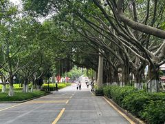 -厦门大学(思明校区)