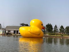 -杭州湾海上花田景区