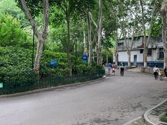 -西安市长乐公园