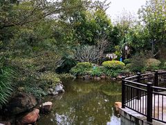 -清远熹乐谷温泉度假酒店