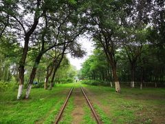 -永定河休闲森林公园