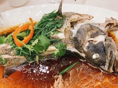 清蒸多宝鱼-福满园大酒楼(梅林店)