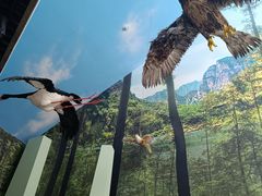 -房山世界地质公园博物馆